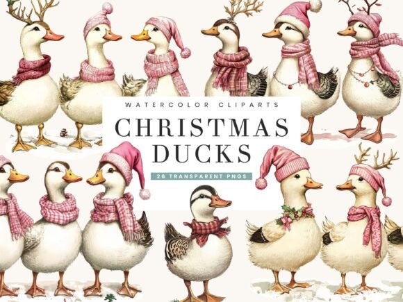 Review: Christmas Ducks Clipart Bundle for Embroidery